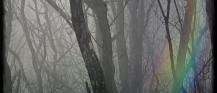 Image Thumbnail